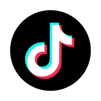 TikTok Logo
